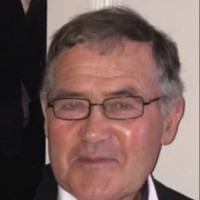Mete Sönmez
