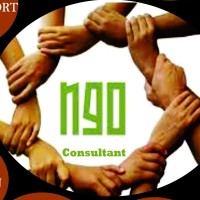 NGO Advisory Services