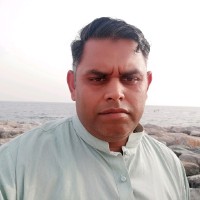 Mirza Amer