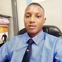 Adeolu Adegbesan. BSc, FMVA®