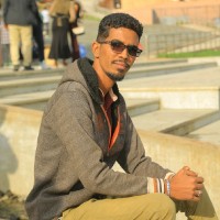 عبدالرحمن القصاص