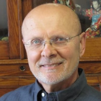 M. Lynn Whitehead