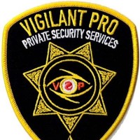 vigilant pro private security
