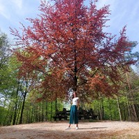 Petra Thijssen-Harmelink
