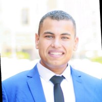 Hossam Elsayed