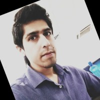 Niteesh B
