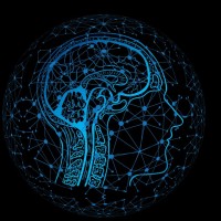 Psiq Cursos Online
