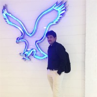 vijaya krishna y