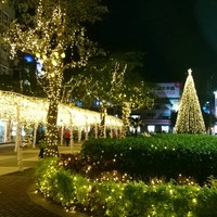 陳威雄