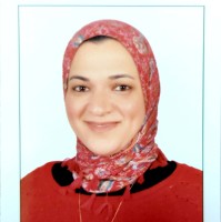 Prof. Gehan Nabil