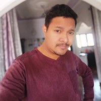 Raman Pundir