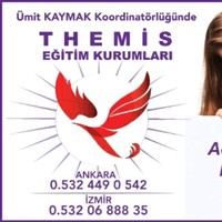THEMİS EĞİTİM KURUMLARI ANKARA