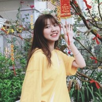 Vy Phạm