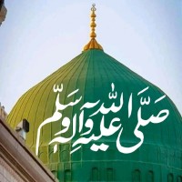 Muhammad Sultan Javaid