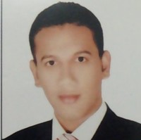 Aboulfetoh Rashwan