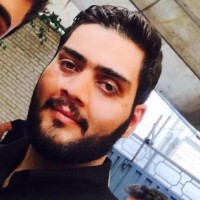 majid alavi
