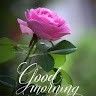 V S kumar