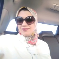 dina samir