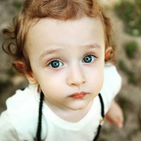 Forough Sharifi