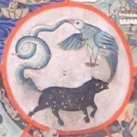 Kiên Trần