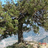 Βουνό Περιπέτεια