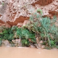 Abahmane El Hassane