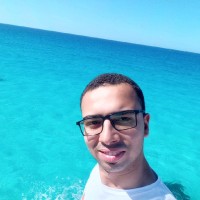 هشام الجمل