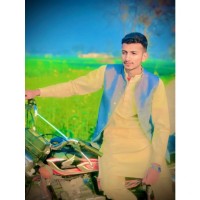 Zaib Bhatti