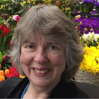 Lynette Hoy, NCC, LCPC, CAMS-V