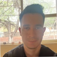 Enrique Dzul Rosales