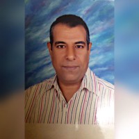 Aly Rashwan
