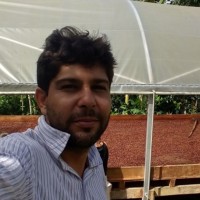 Andre Carvalho