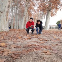 Daniel Fernando Ortiz Abril