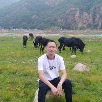 Tommy Chew (详舜）