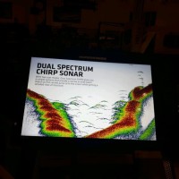 Ronnie Vasser Vasser