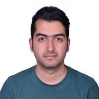 Mohammad Mostafavi