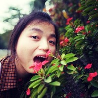 曾美琴