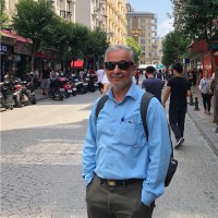 Dr. Nasser Hosseinzadeh