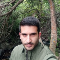 Farzad Hashemi
