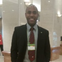 Michel Santos da Silva, M.Eng