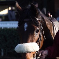 Mauro Ricci