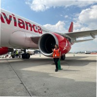 Yiseth Sthefanny Alcala Perdomo