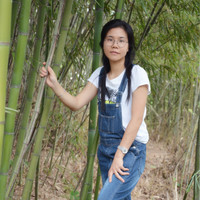 黄小凡