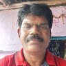 Pratap Hari