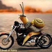 Salman Afridi