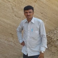Bharat M Joshi