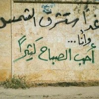 rana nasef