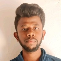 Vignesh P