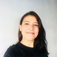 Flávia De S. Fernandes