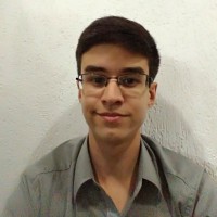 Gabriel Martins Viana